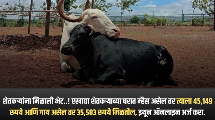 Animal Husbandry 2025