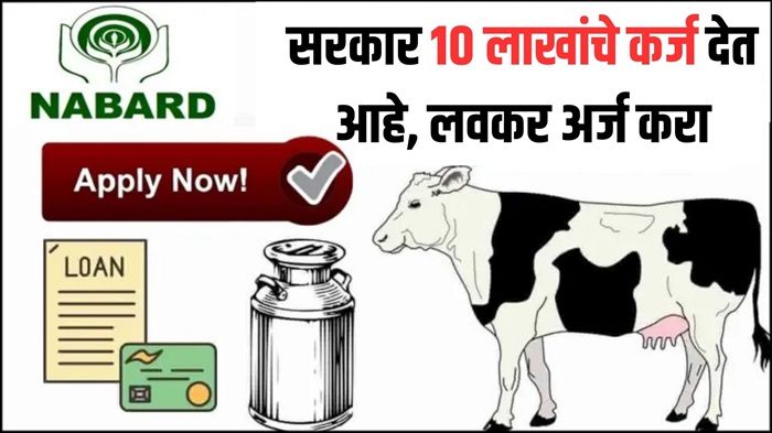 Dairy Farming Loan 2025