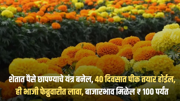 Agricultural Tips