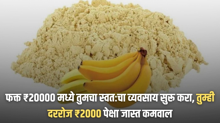 Banana Powder Business
