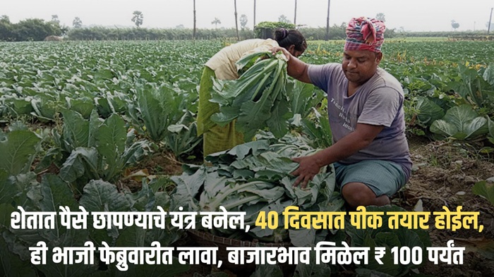 Business Farmers