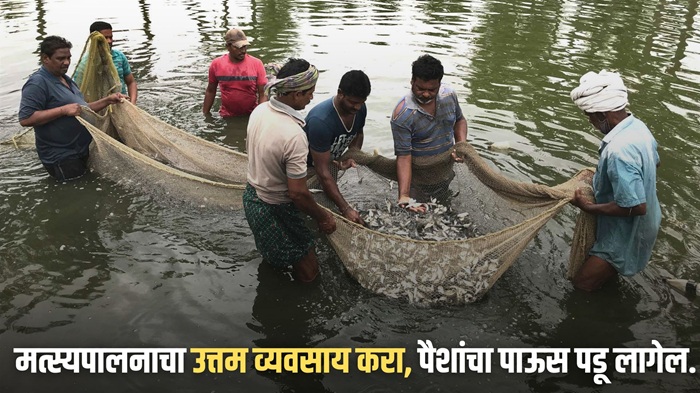 Fish Farming Business