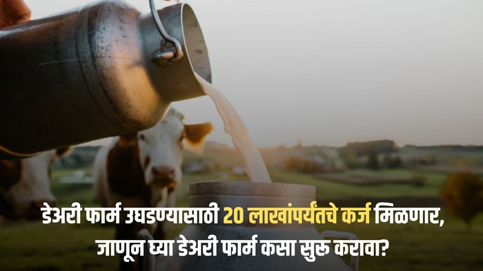 Government Loan For Dairy Farming