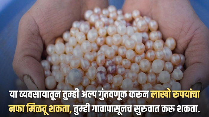 Pearl Farming Business