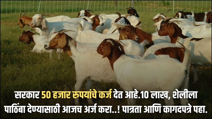 Goat Farming Loan 2025