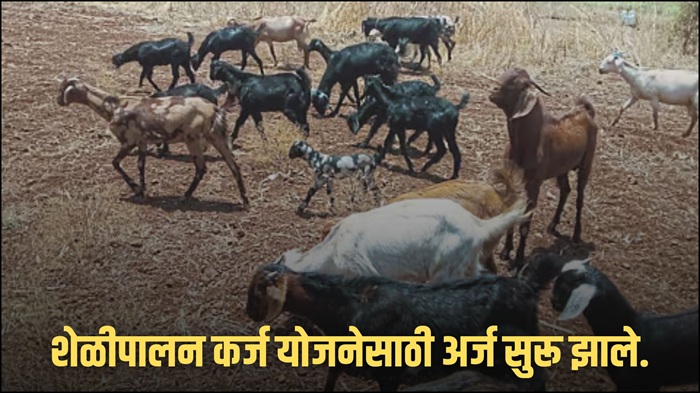 Goat Farming Loan Yojana
