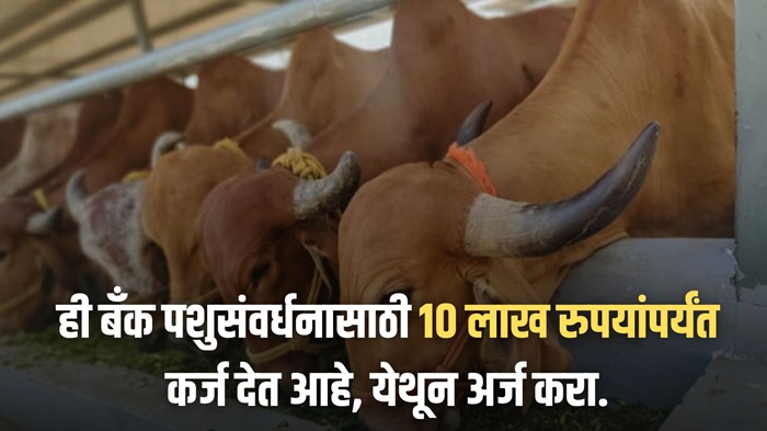 Pashupalan Loan Apply 2025