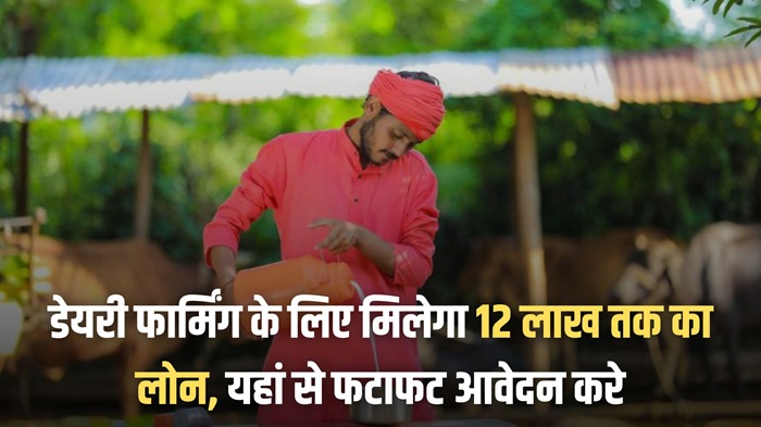 Apply Dairy Farm Loan